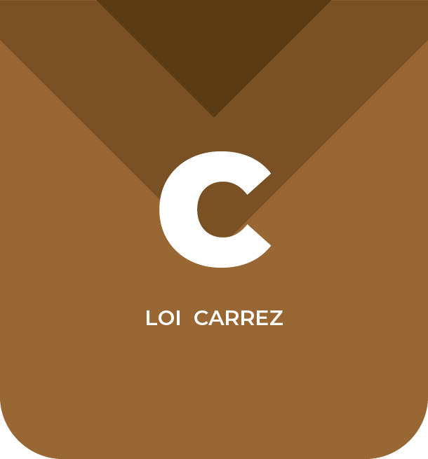DIAGNOSTIC LOI CARREZ